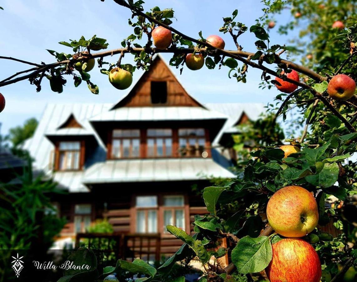 Willa Blanca Zakopane Exterior photo